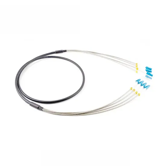 FTTH Single Mode G652D Sc